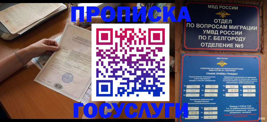 временная регистрация поиск в Канске